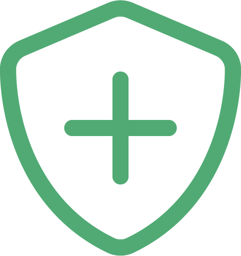 Health security icon