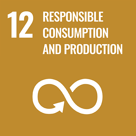 12. Responsible consumption and production