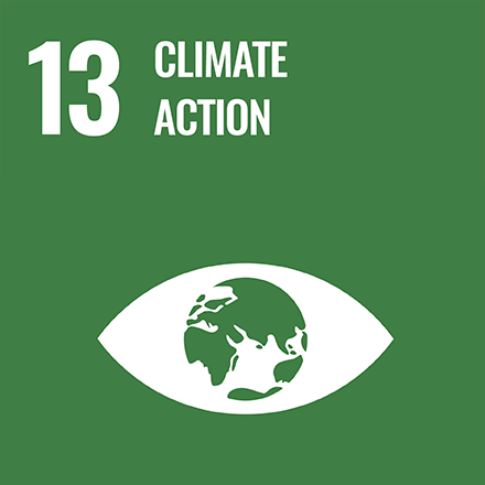 13. Climate action