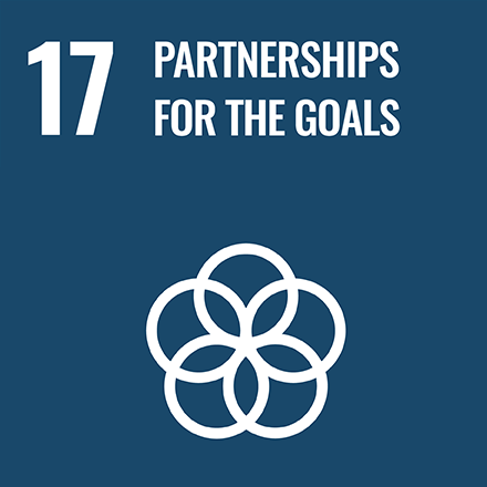 17. Partnerships for the goals