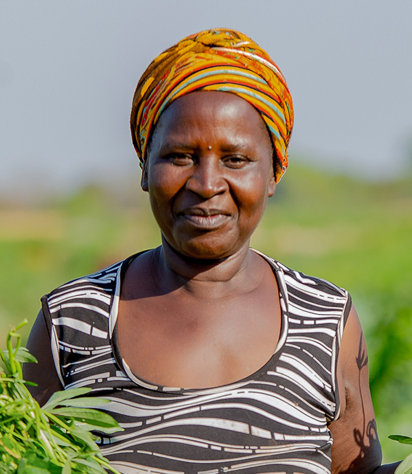 Woman standing in a field in Zambia, tending to rows of green vegetables. Credit: ACIAR