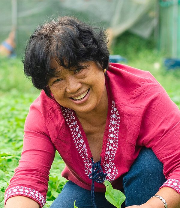 An organic vegetable grower in Benguet, Philippines. The Investing in Women's Impact Investing pathway supports distribution of healthy and environment-friendly food products of small farms and producers, who are mostly owned by women entrepreneurs. Credit: DFAT